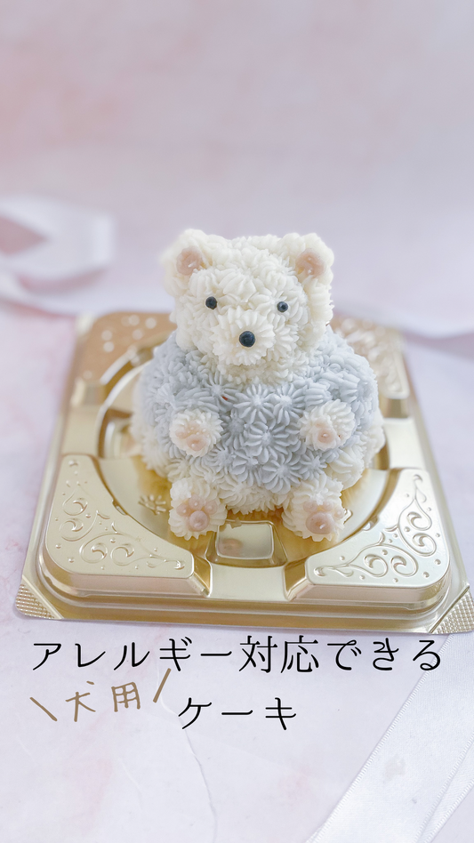 アレルギー対応できる犬用ケーキ