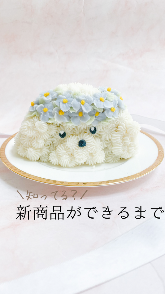 新商品が出来るまで