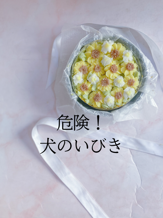 危険!犬のいびき