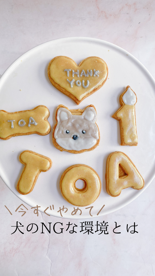 今すぐやめて!犬がNGな環境3選