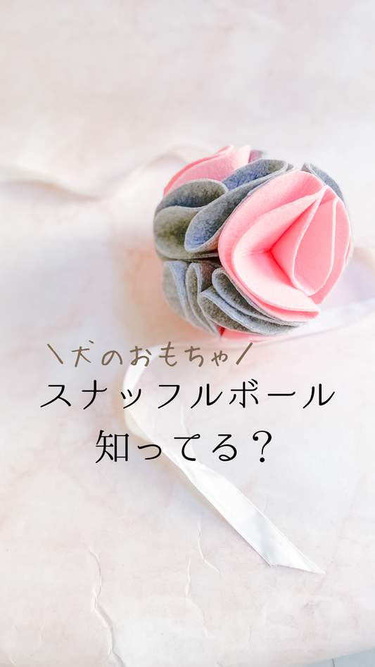 スナッフルボール知ってる?