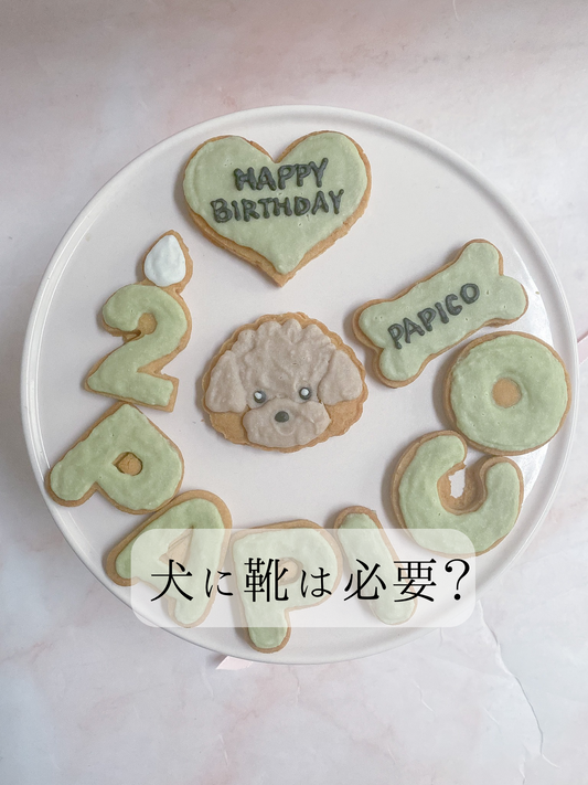 犬に靴は必要?