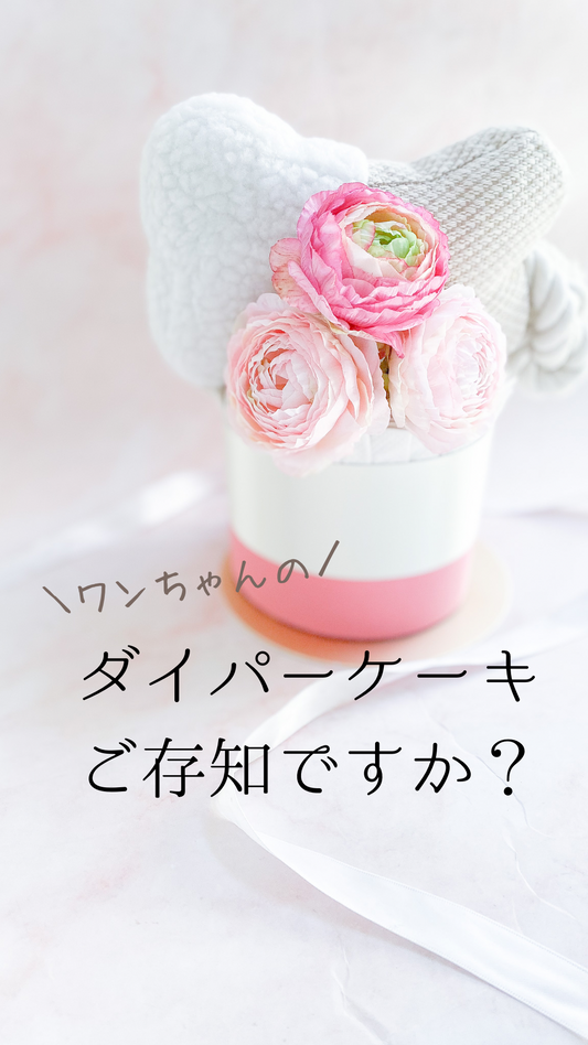 犬用ダイパーケーキ、ご存知ですか?