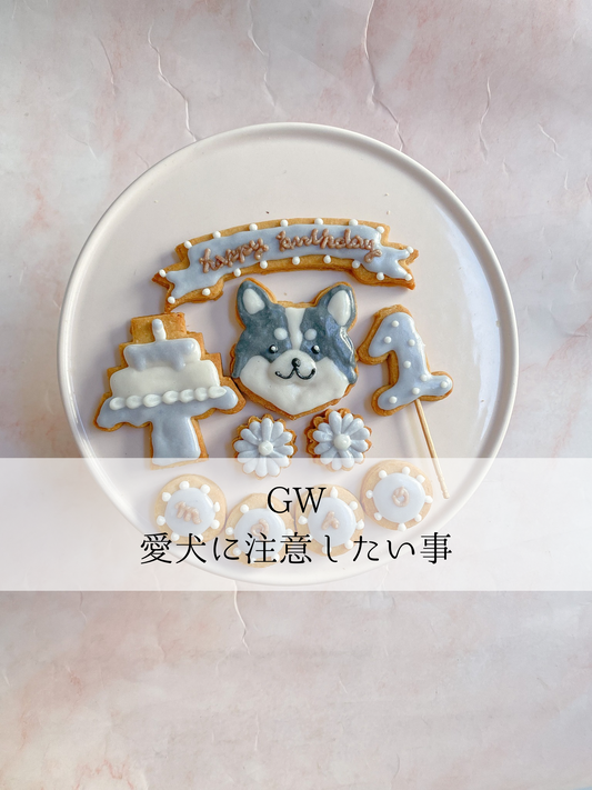 気づいてあげたい!GW中の愛犬の体調