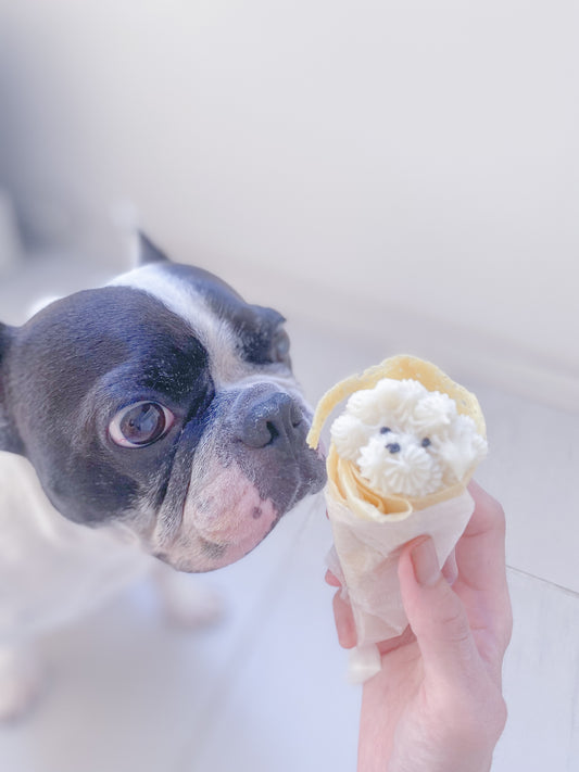 3日後に犬のクレープ屋さんになります