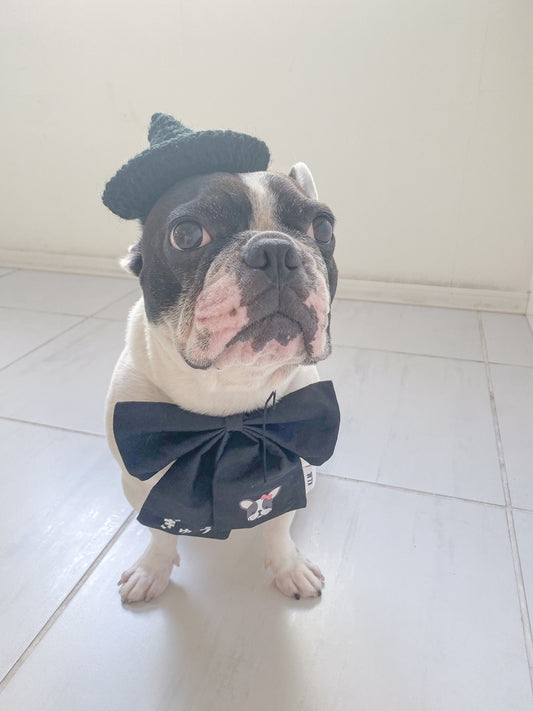おしゃれ犬になれるアイテム