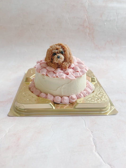 犬用ケーキ マイドッグケーキ