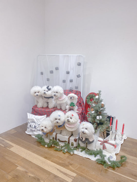popupありがとうございました!