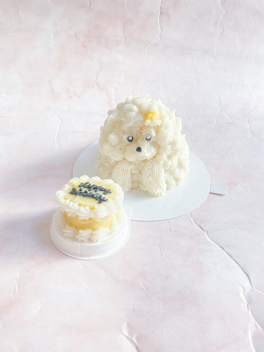 犬用ケーキ MOU CAKE