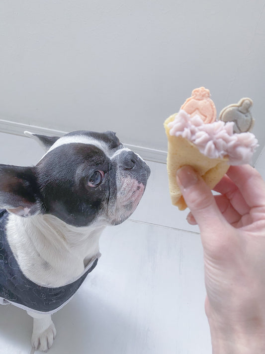 犬用クレープ ひな祭り