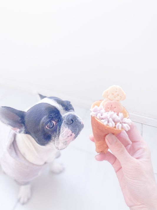 犬用クレープ 春
