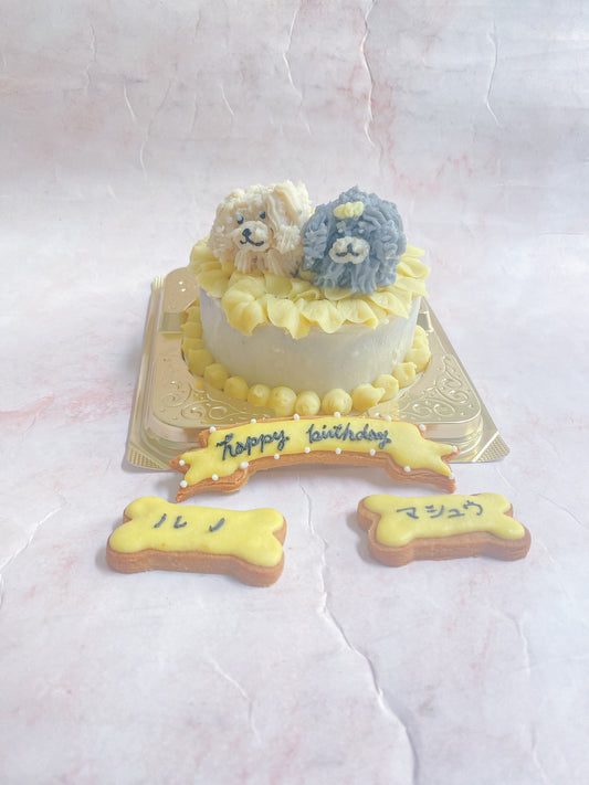 犬用ケーキ mydog cake