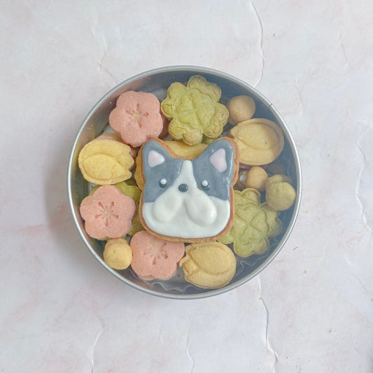 犬用クッキー缶 春