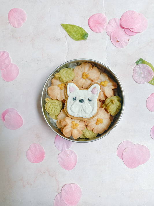 dog cookie