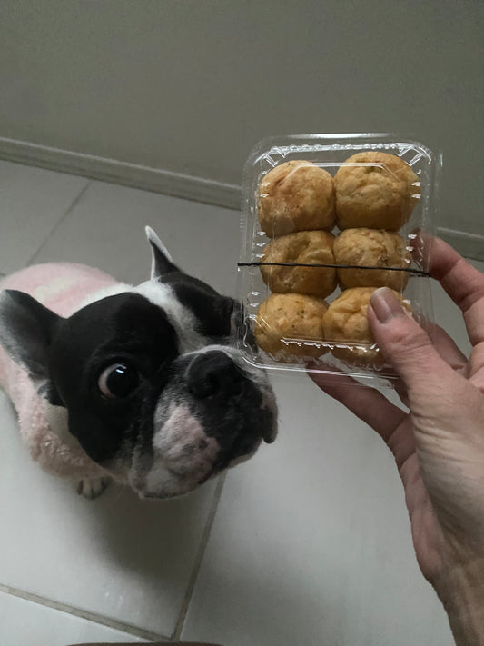 今日のおやつ