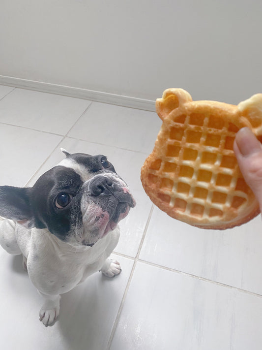 犬用ワッフル