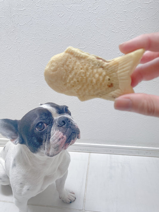 犬のたい焼き屋さんになります