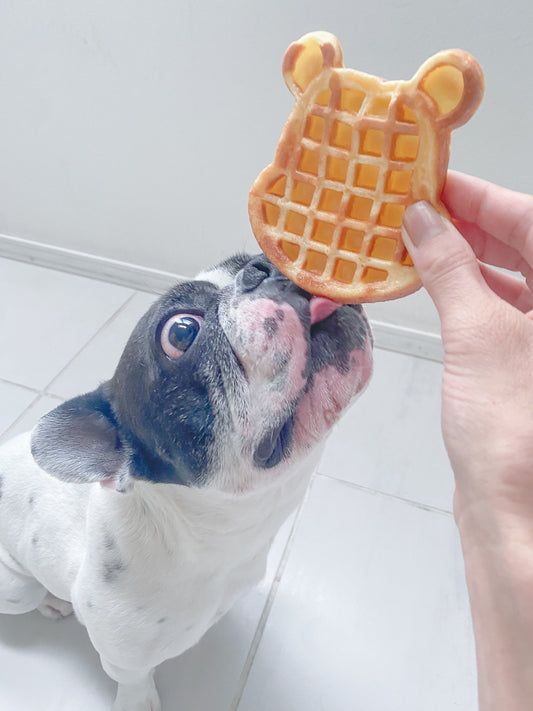 犬用ワッフル