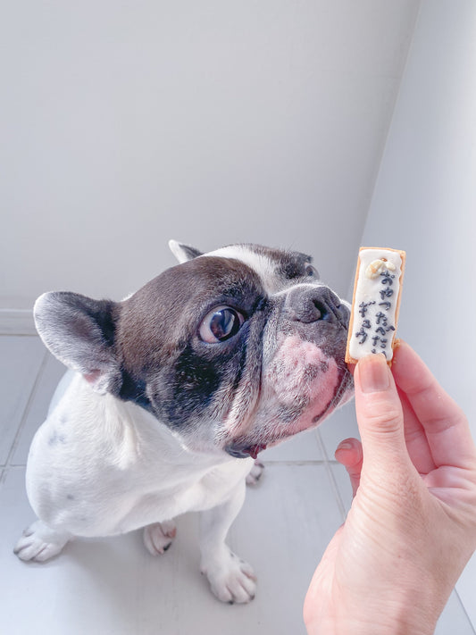 犬用クッキー缶 七夕