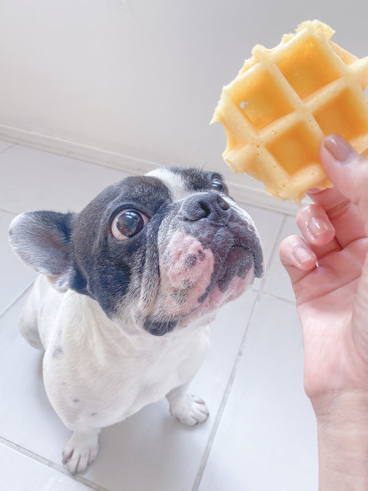 犬用ワッフル