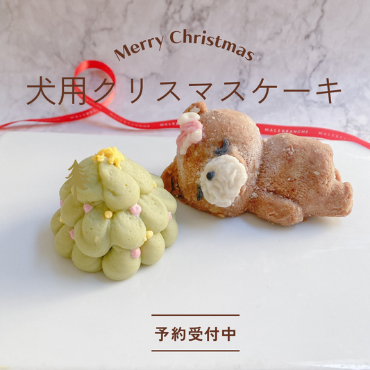 犬用クリスマスケーキ