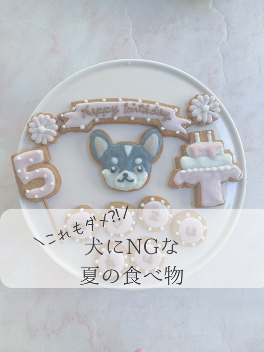 犬にNGな夏の食べ物3選