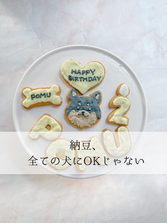納豆は、どの犬にもOKじゃない