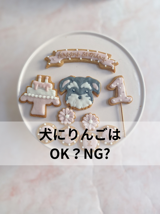犬にりんごはOK?NG?