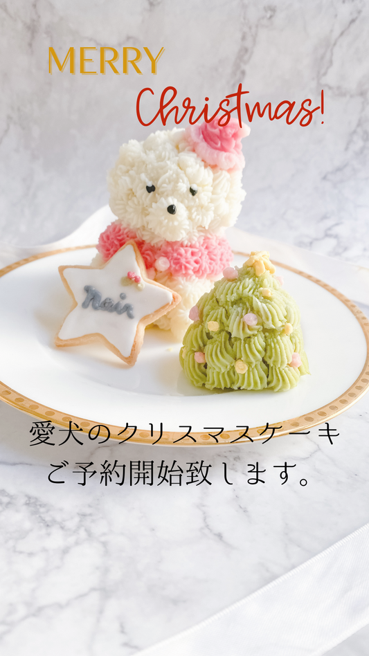 犬用クリスマスケーキ
