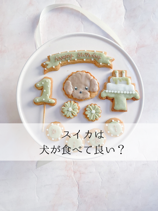 スイカは犬が食べて良い?