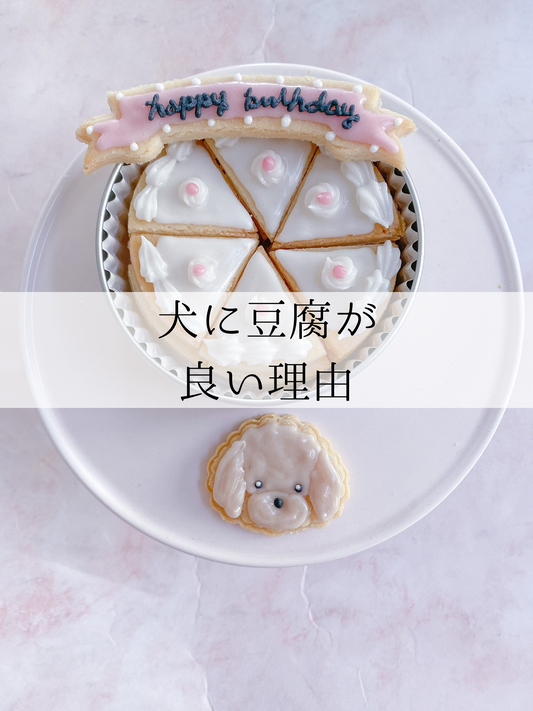 犬に豆腐が良い理由