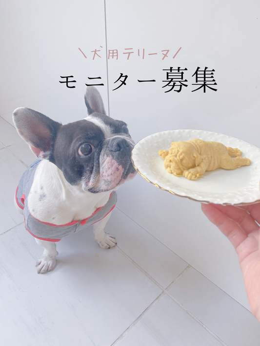 モニター募集
