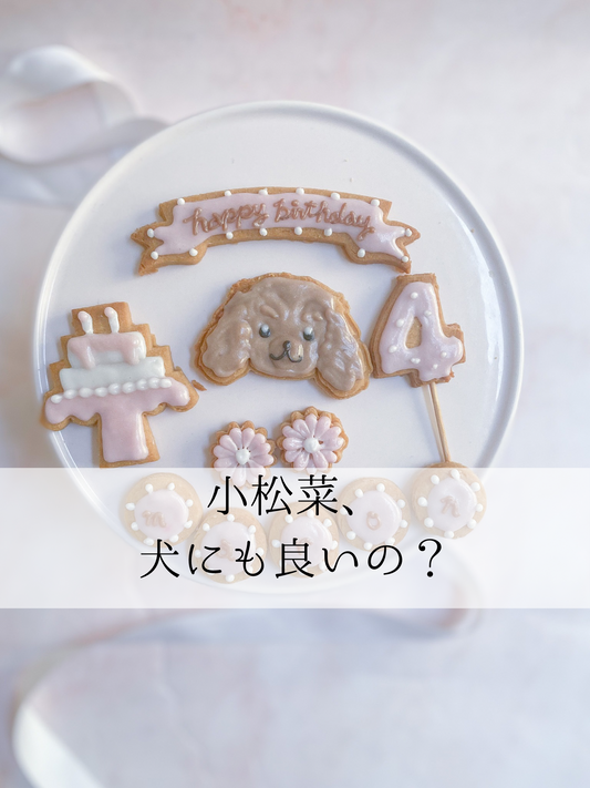 小松菜、犬にも良い?