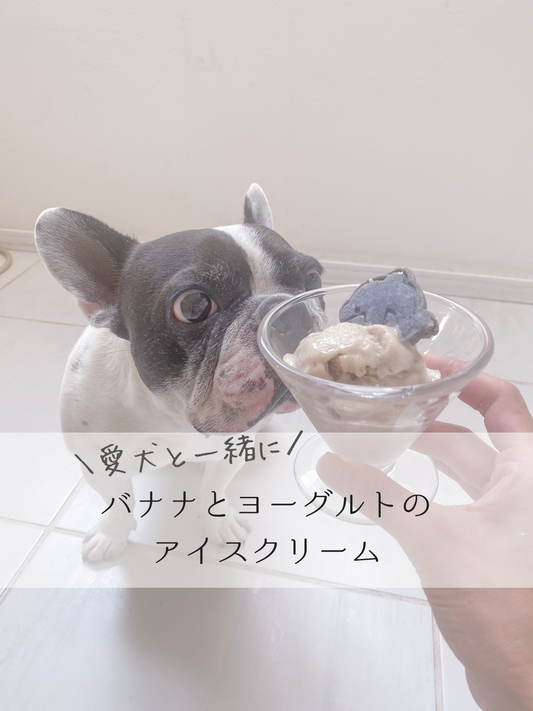 犬用バナナアイスの作り方