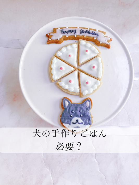 犬の手作りごはんは必要?