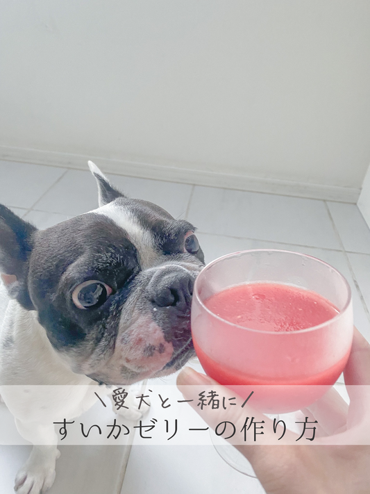 愛犬と一緒に食べれるスイカゼリーの作り方