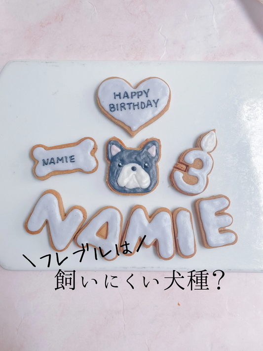 フレンチブルドッグは、飼いにくい?