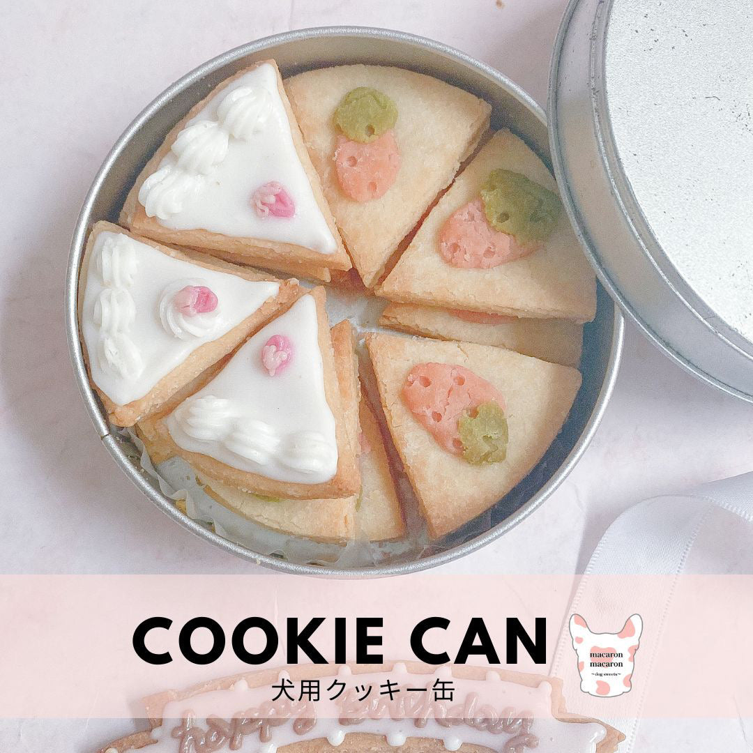 愛犬お顔クッキー缶 ショートケーキ