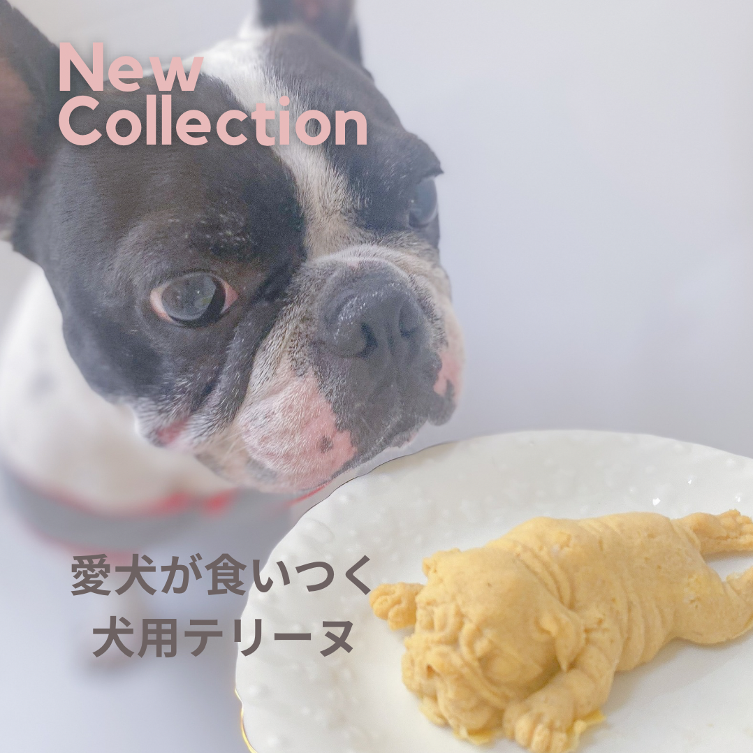 犬用テリーヌ BUHIテリーヌ 鶏