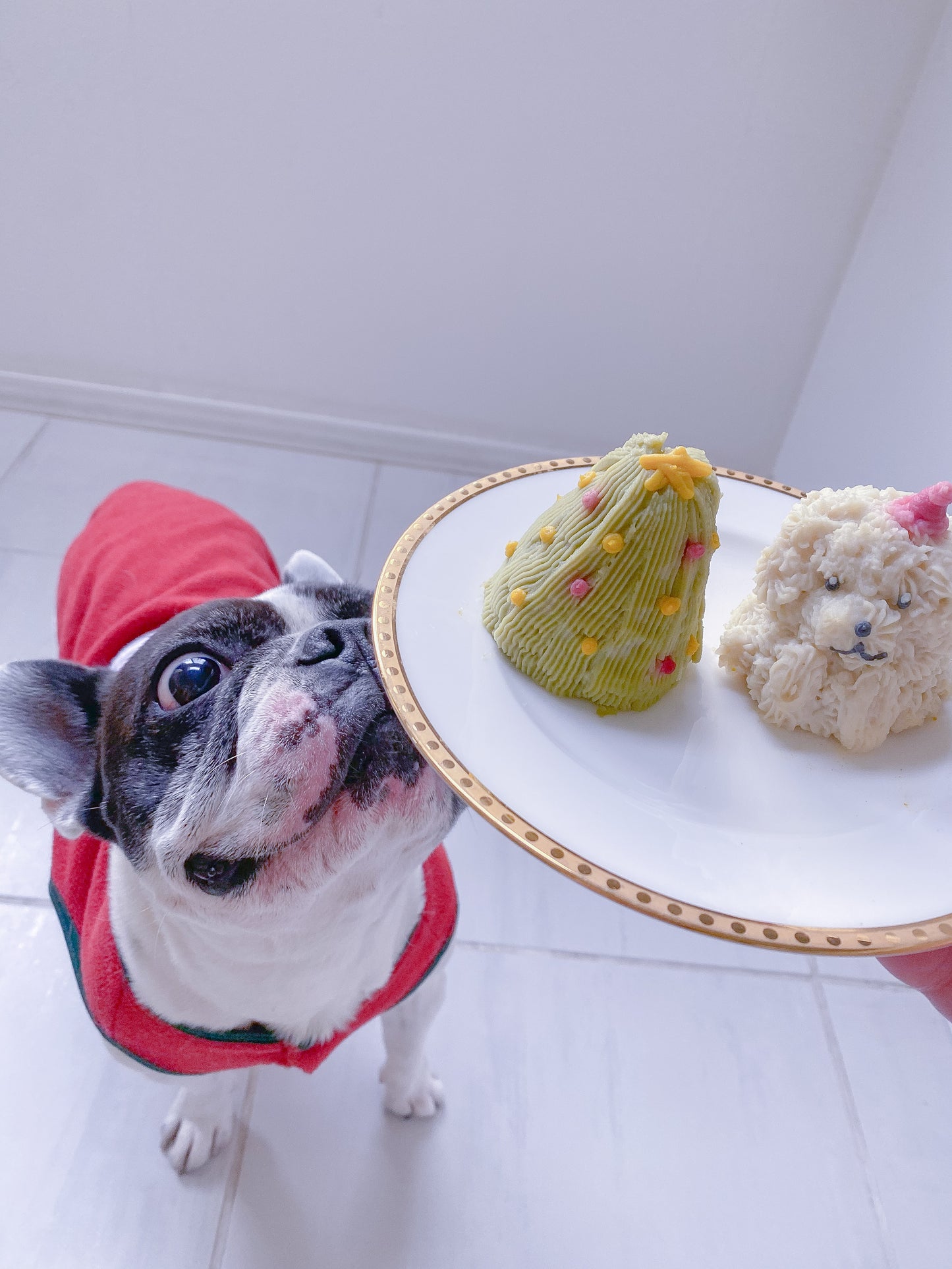 犬用クリスマスケーキ2025