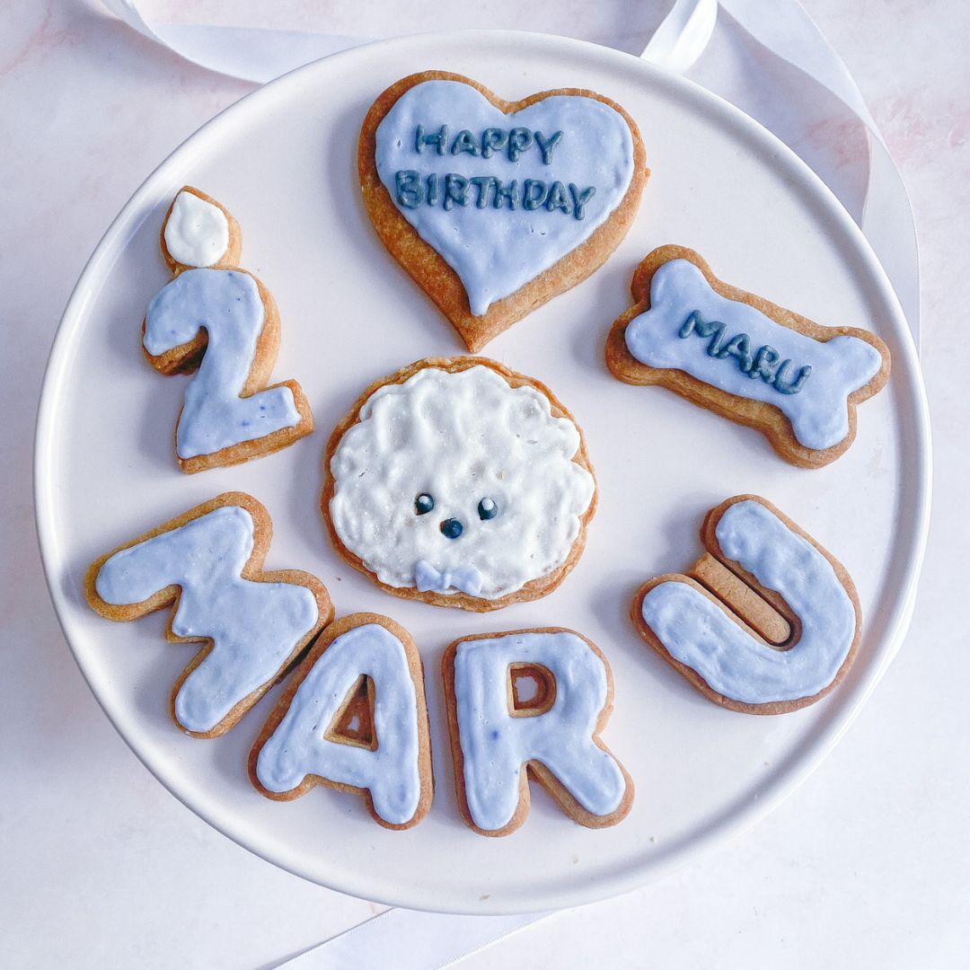 センイルケーキ 犬用ケーキ