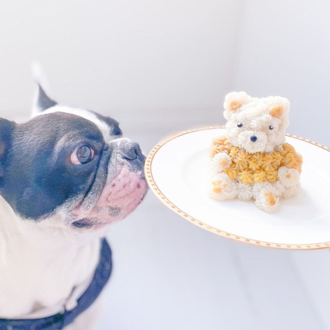 太っちょケーキ 犬用ケーキ