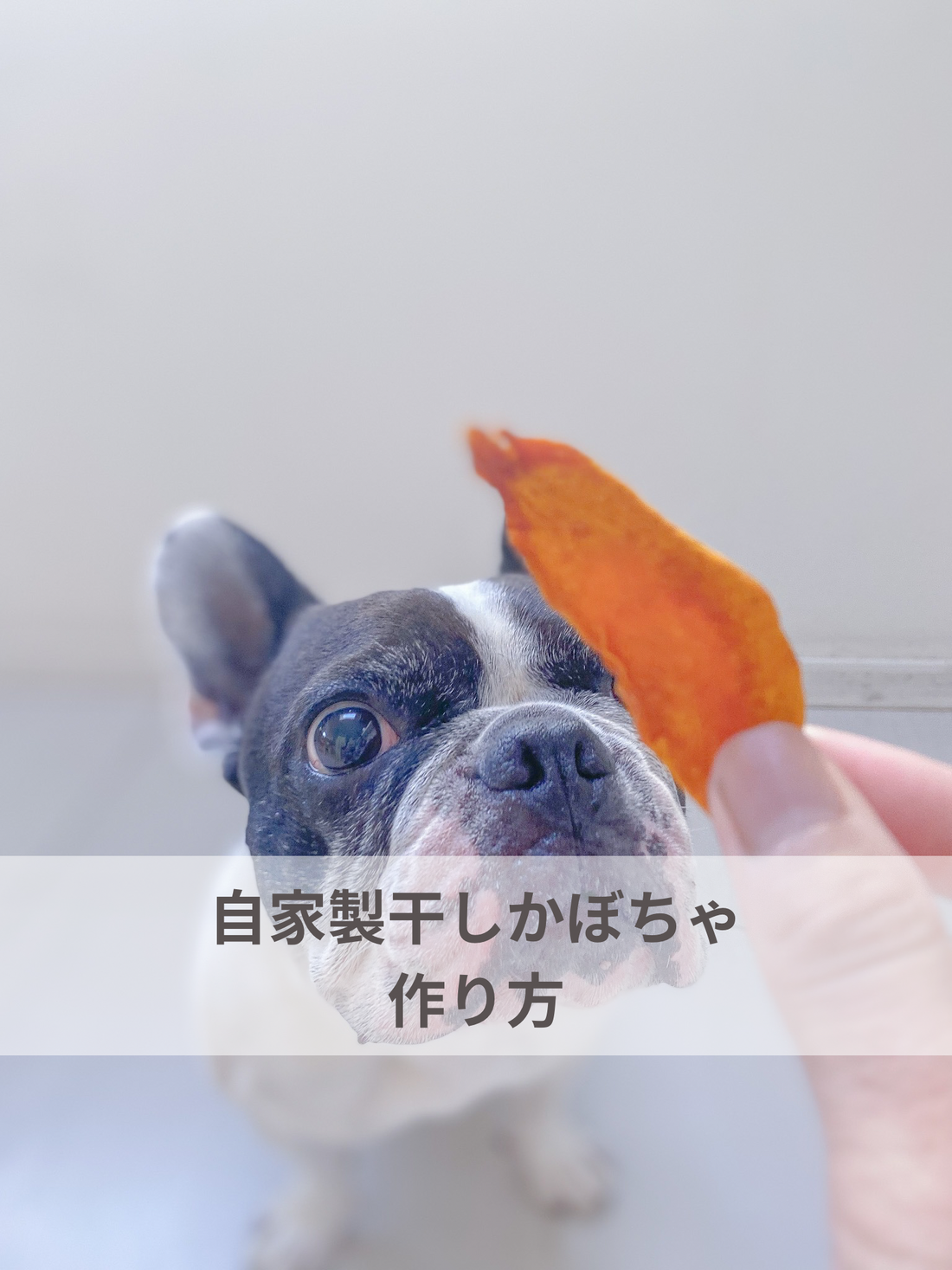 自家製干しかぼちゃの作り方