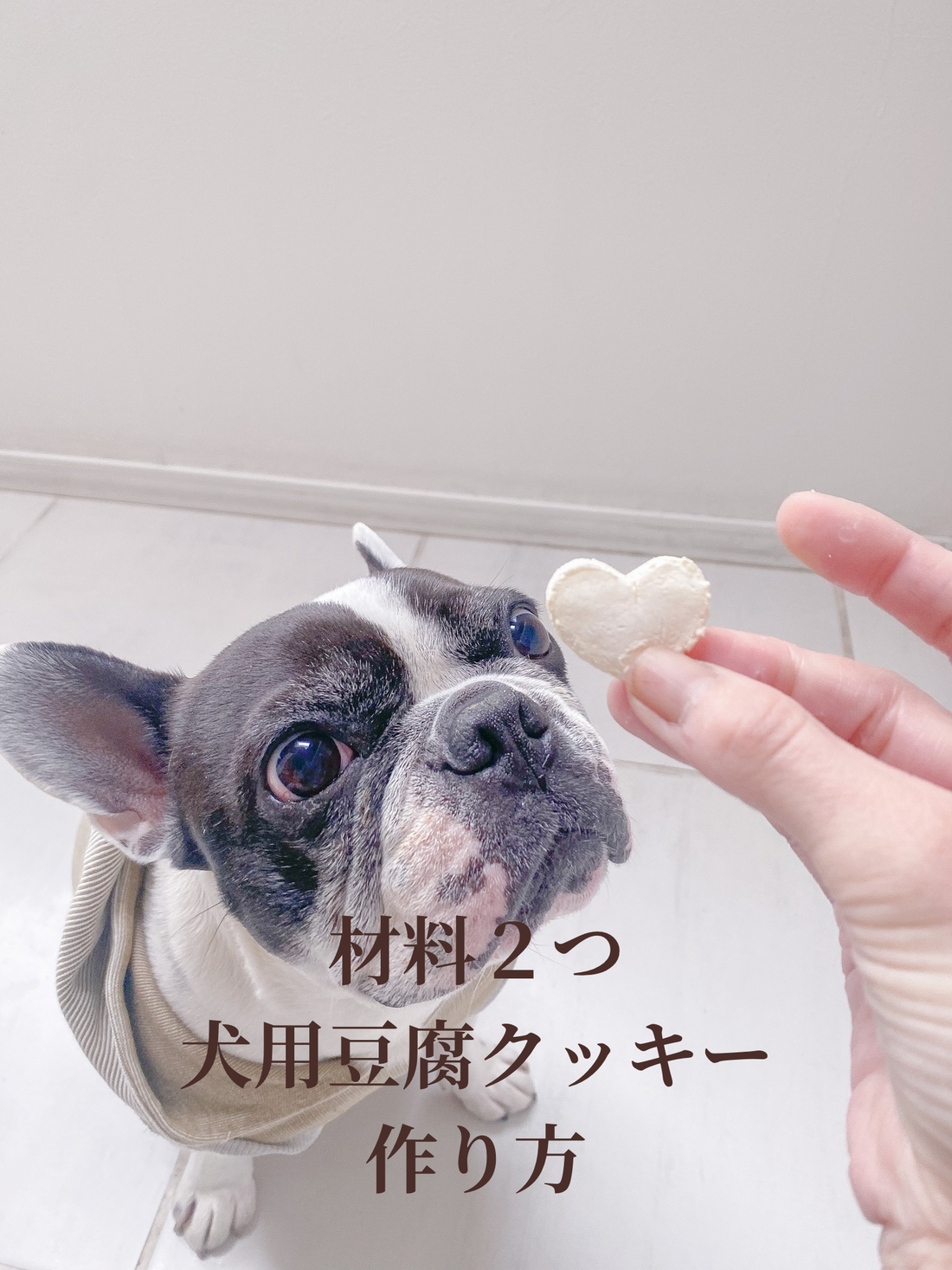 材料２つ 犬用豆腐クッキーの作り方