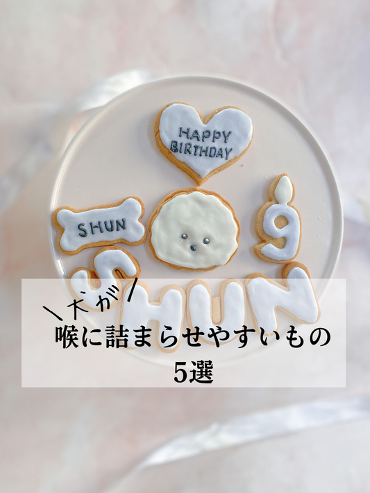 犬が喉に詰まりやすい食べもの