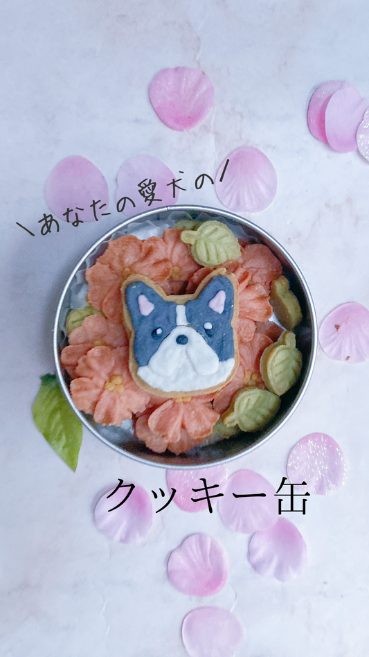 愛犬がクッキー缶になる！犬用桜クッキー缶