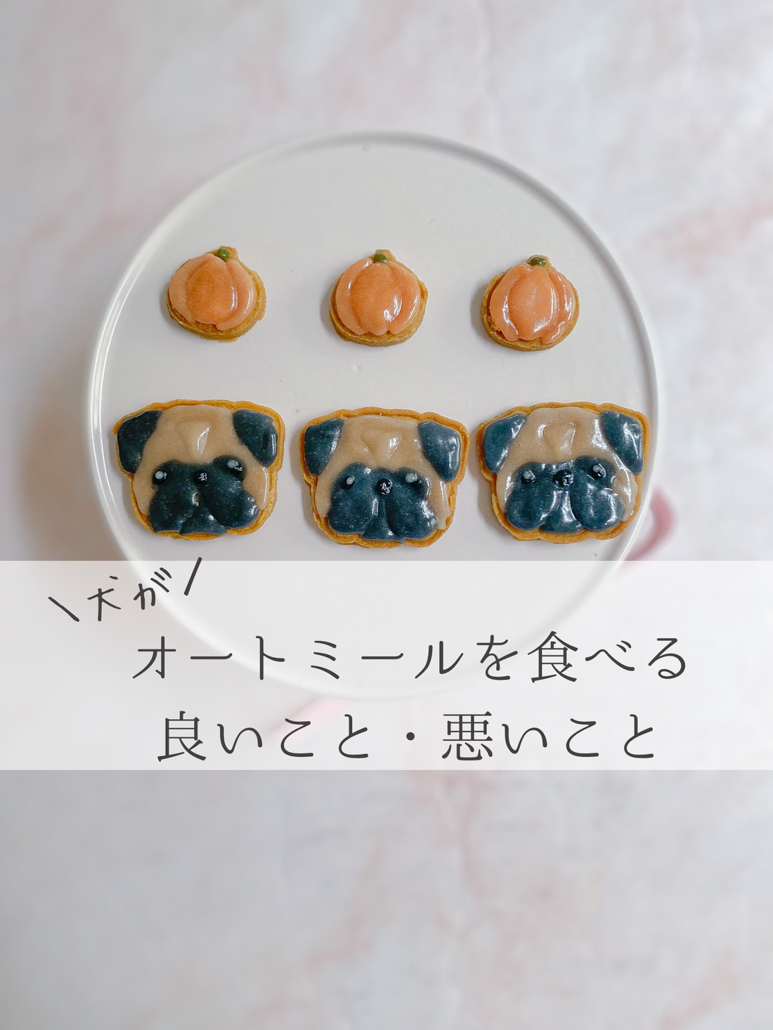 犬がオートミールを食べれると良いこと、悪いこと
