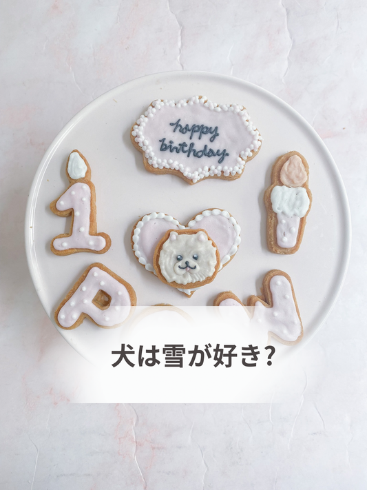 犬は雪が好き?