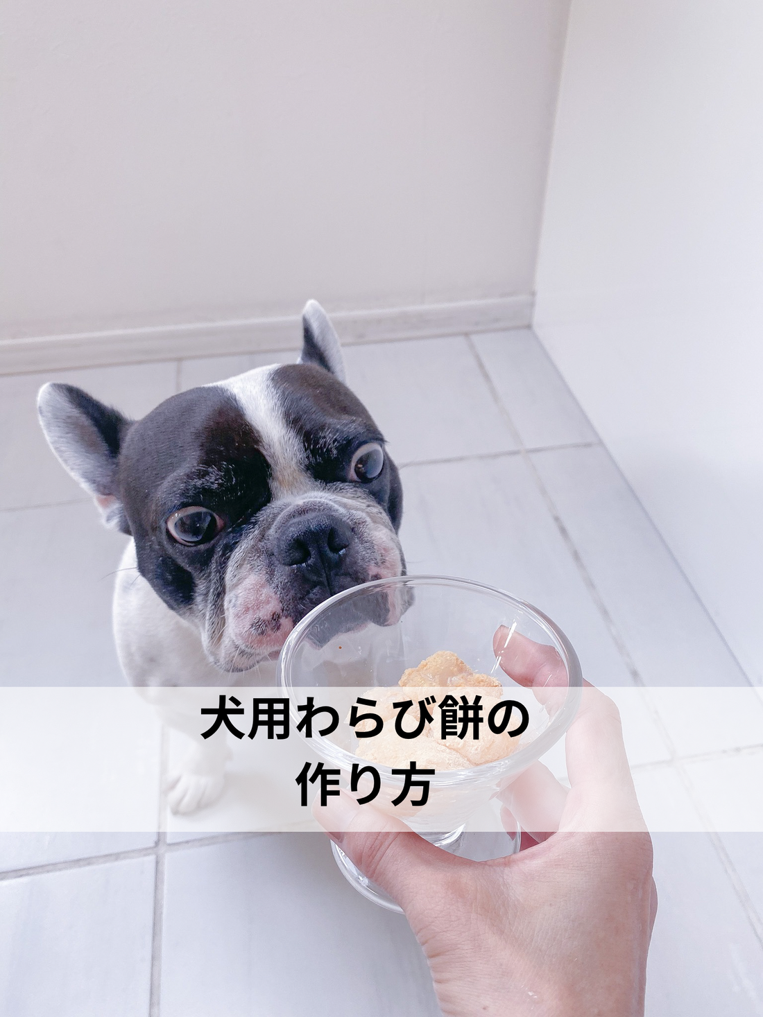 犬用わらび餅の作り方