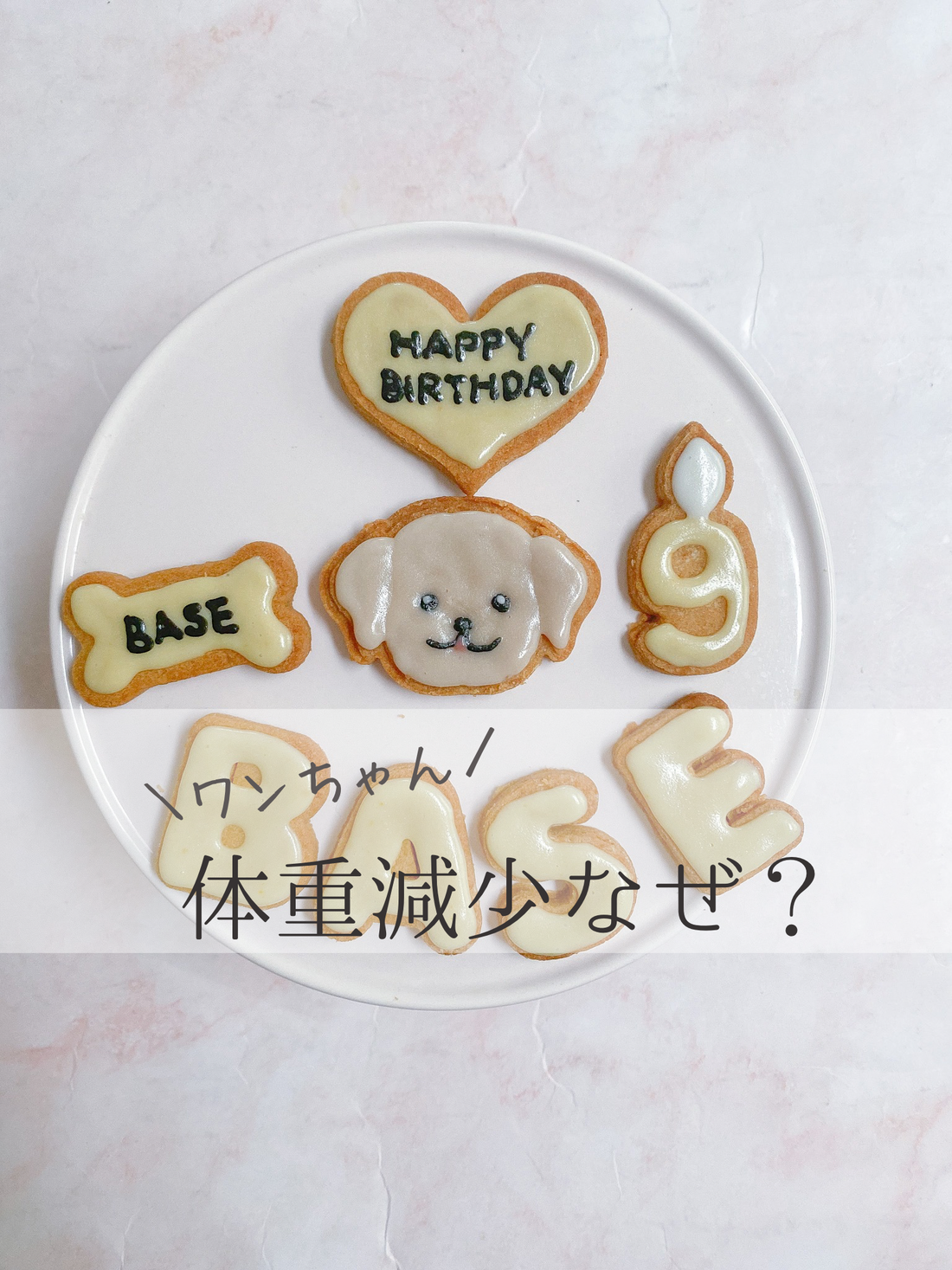 犬の体重減少、なぜ？